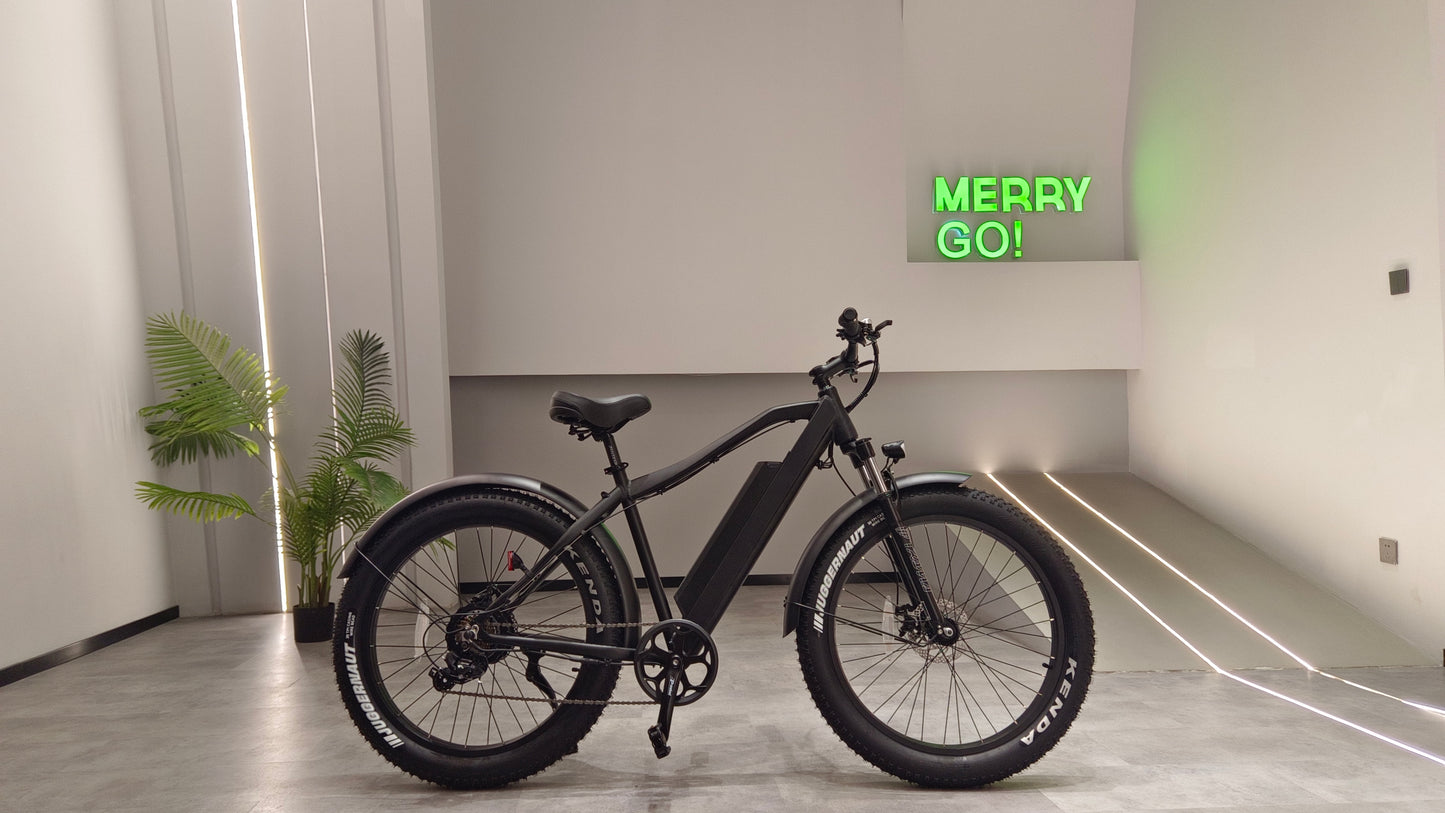 PALADIN R - Mountain Bike - Black Top speed 32km/h