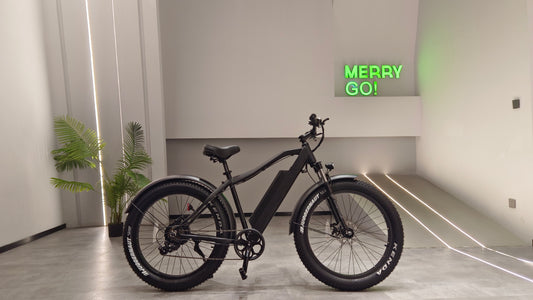 PALADIN R - Mountain Bike - Black Top speed 32km/h
