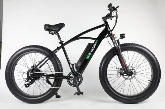 The HOOK e-bike leans more into the pure fun and adventure roles these types of bikes fulfill. It can't carry as much weight (300 lb) as other bikes on our list, but that's really the only drawback.