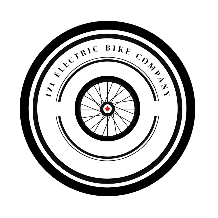 171 Electric Bike Company - is a 100% Canadian owned company.  All we do is import, test, then recommend electric vehicles i.e. electric bike from overseas electric vehicle manufacturers to our North American & European clients. 171 recommends Merrygold.
