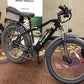 PALADIN Fat tire electric bike - Black