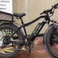 PALADIN Fat tire electric bike - Black